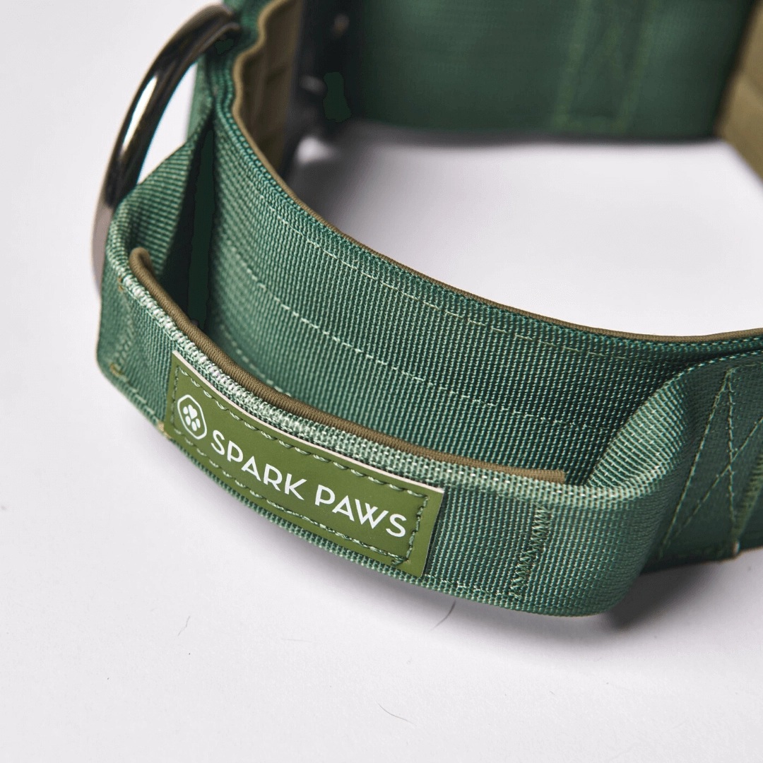 Collier pour Chien avec Poignée Tactique Vert - Spark Paws